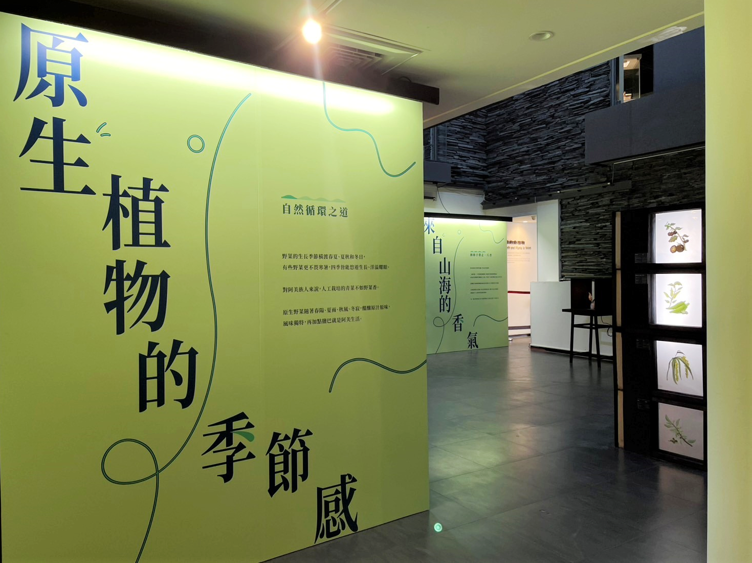 【地球自造 野菜香】野菜圖鑑特展介紹看板