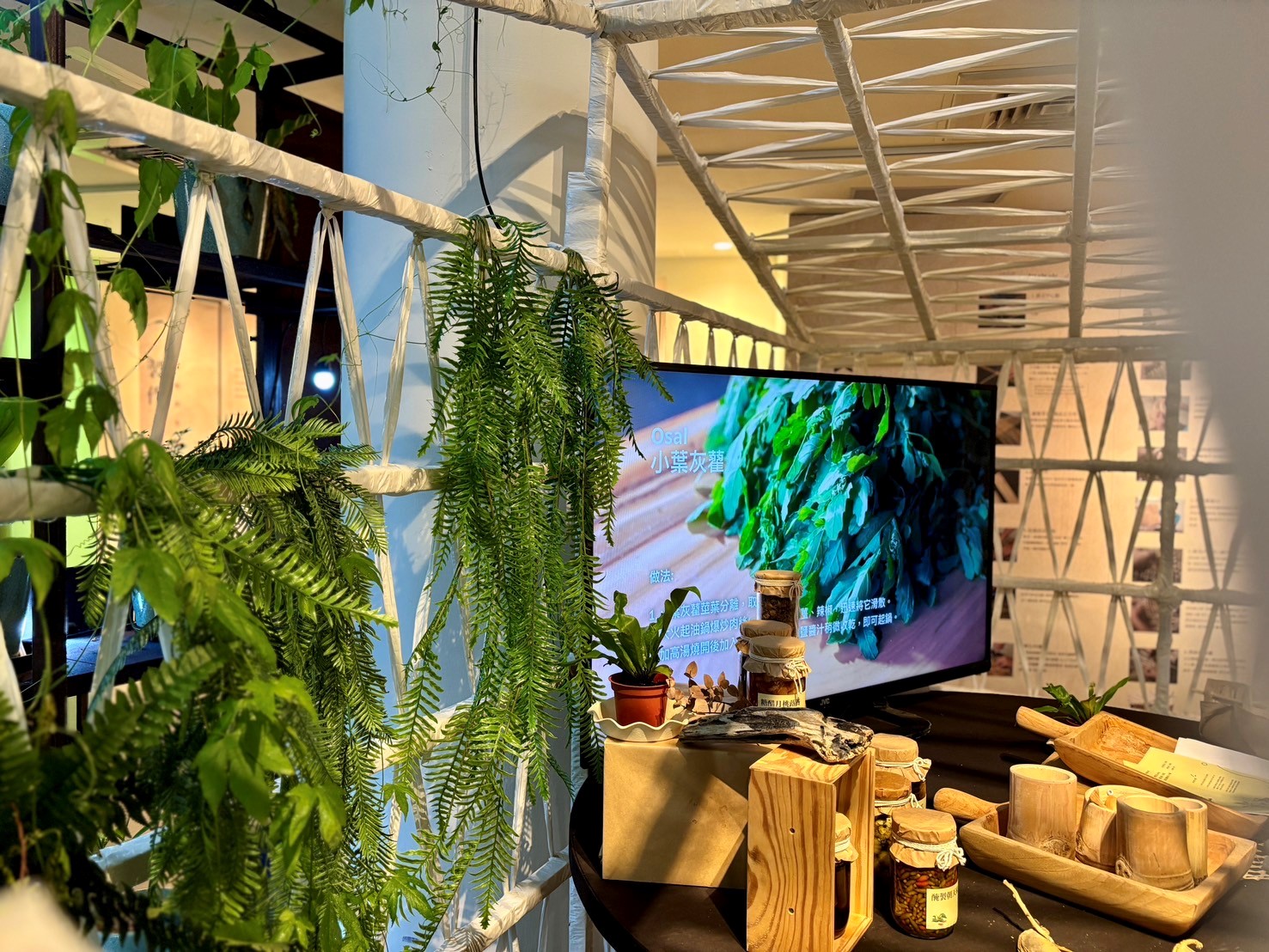 烏來野菜特展圖片